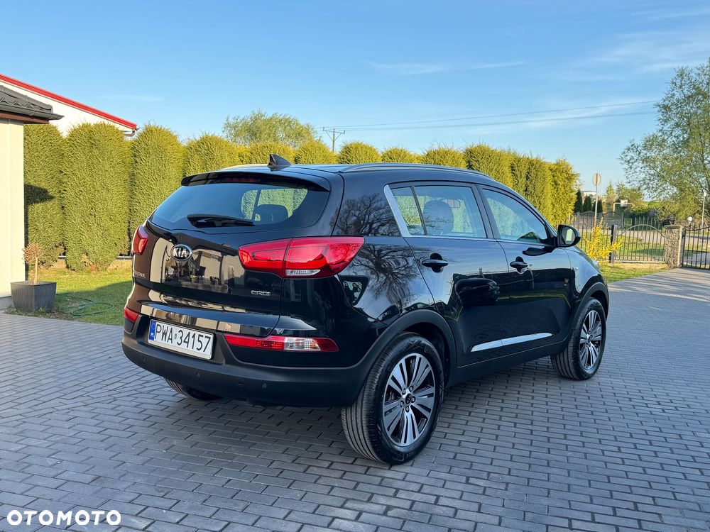 Kia Sportage - 31
