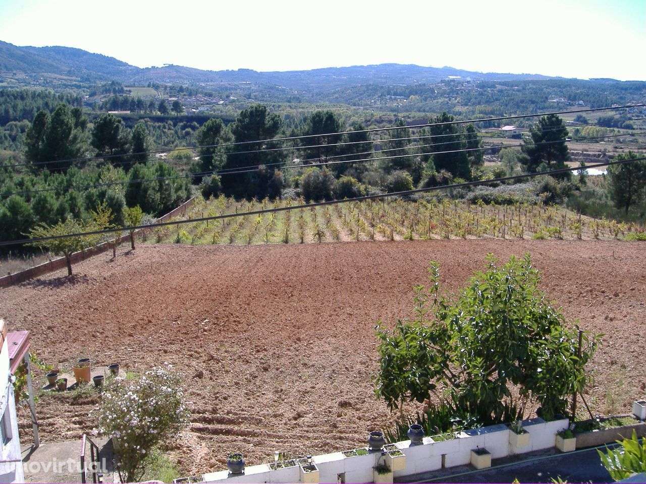 Chaves Vilar de Nantes 10.000 m2 - Grande imagem: 3/7