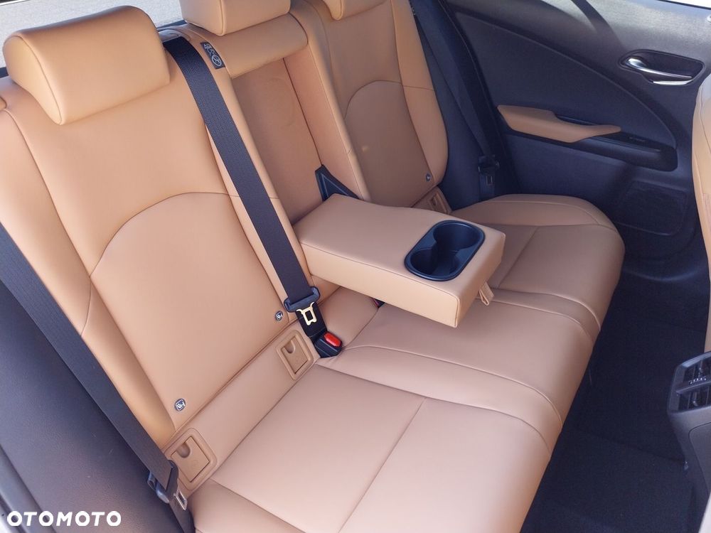 Lexus UX 300h F Sport Design - 13
