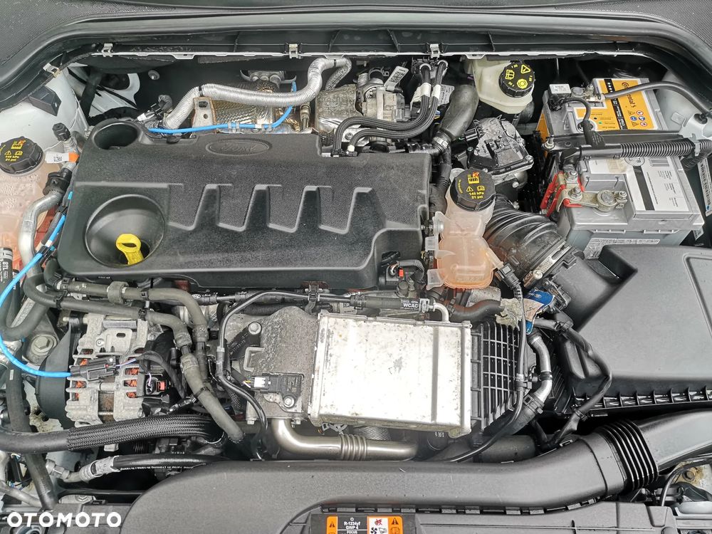 Ford Focus 2.0 EcoBlue S&S ST mit Styling-Paket - 31