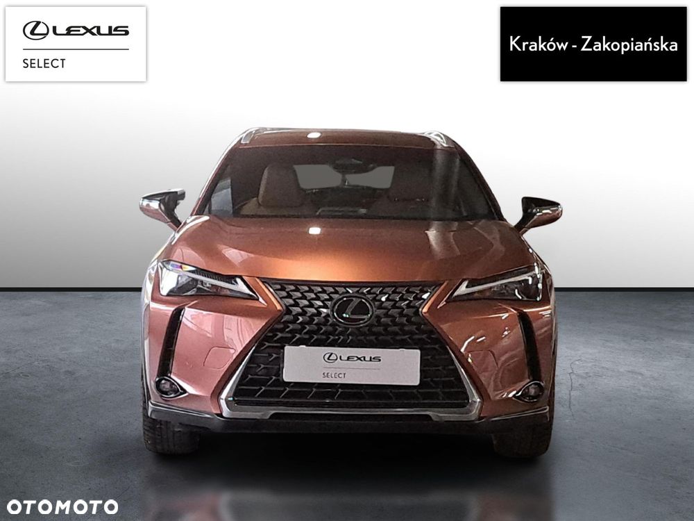 Lexus UX 300h Business - 8