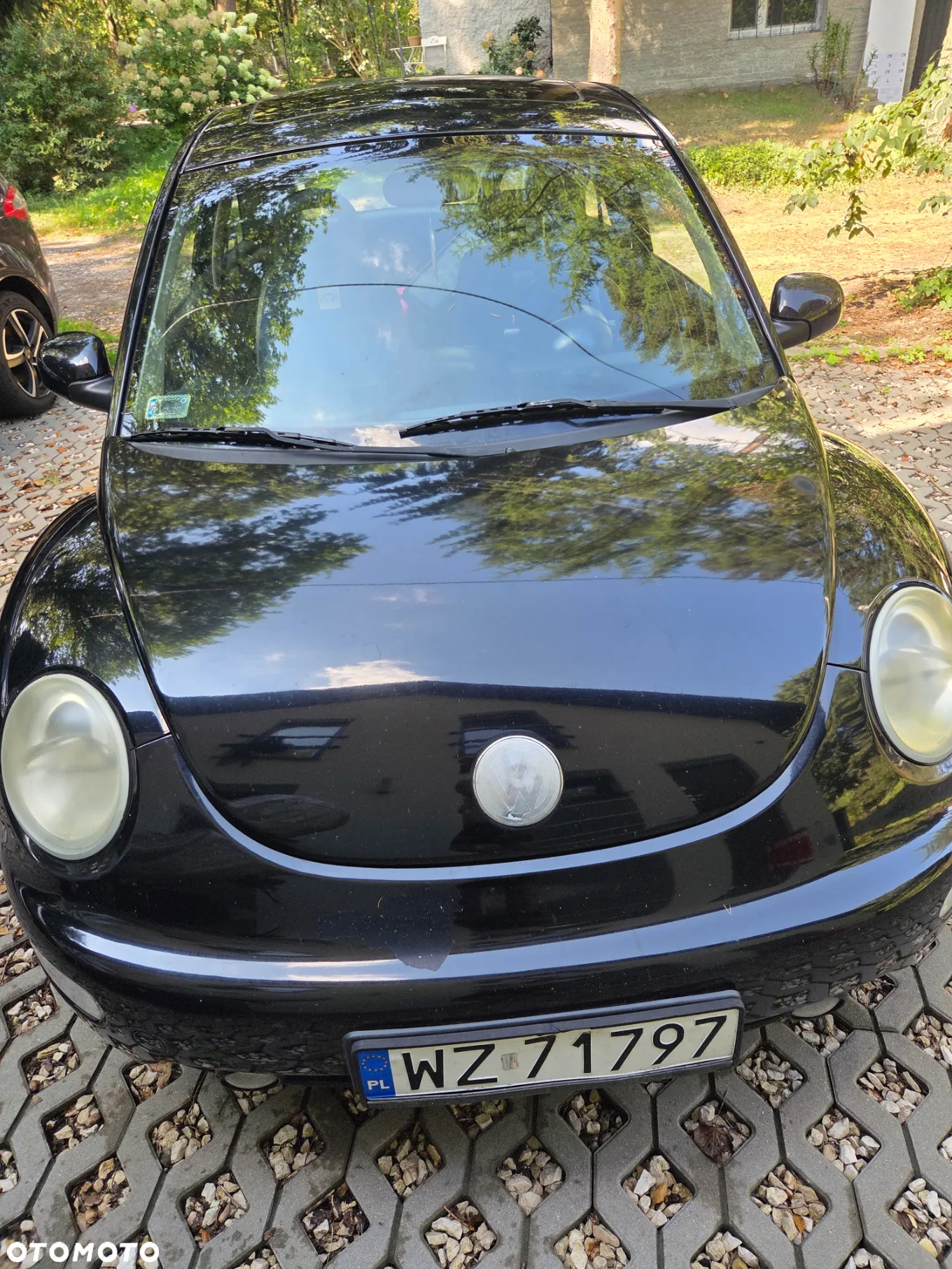 Volkswagen New Beetle - 6