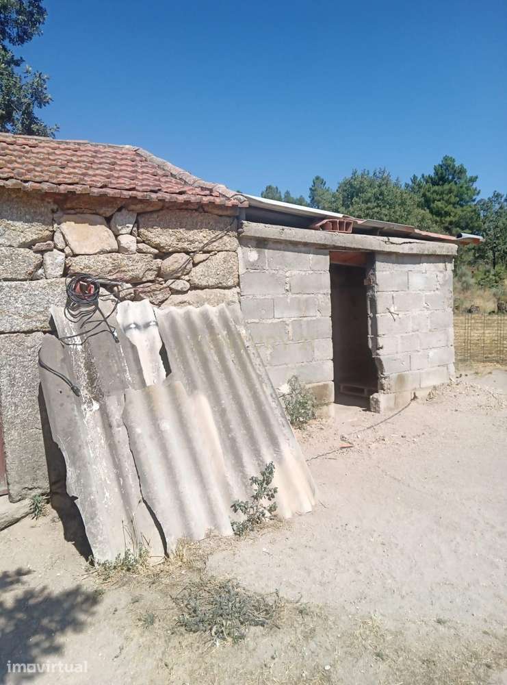 Terreno Rústico em Maçainhas, Belmonte - Grande imagem: 5/7