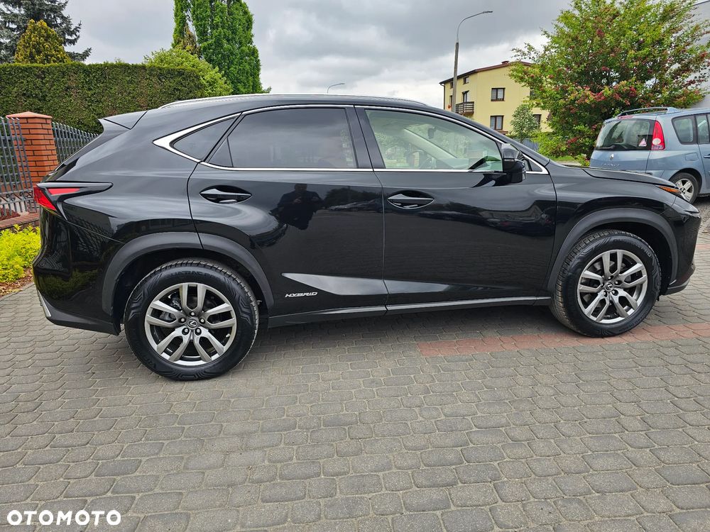 Lexus NX 300h Elegance 2WD - 13