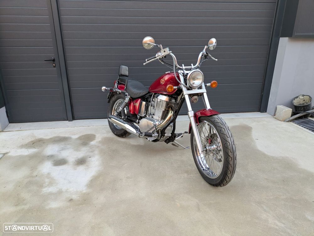 Suzuki LS Savage - 10