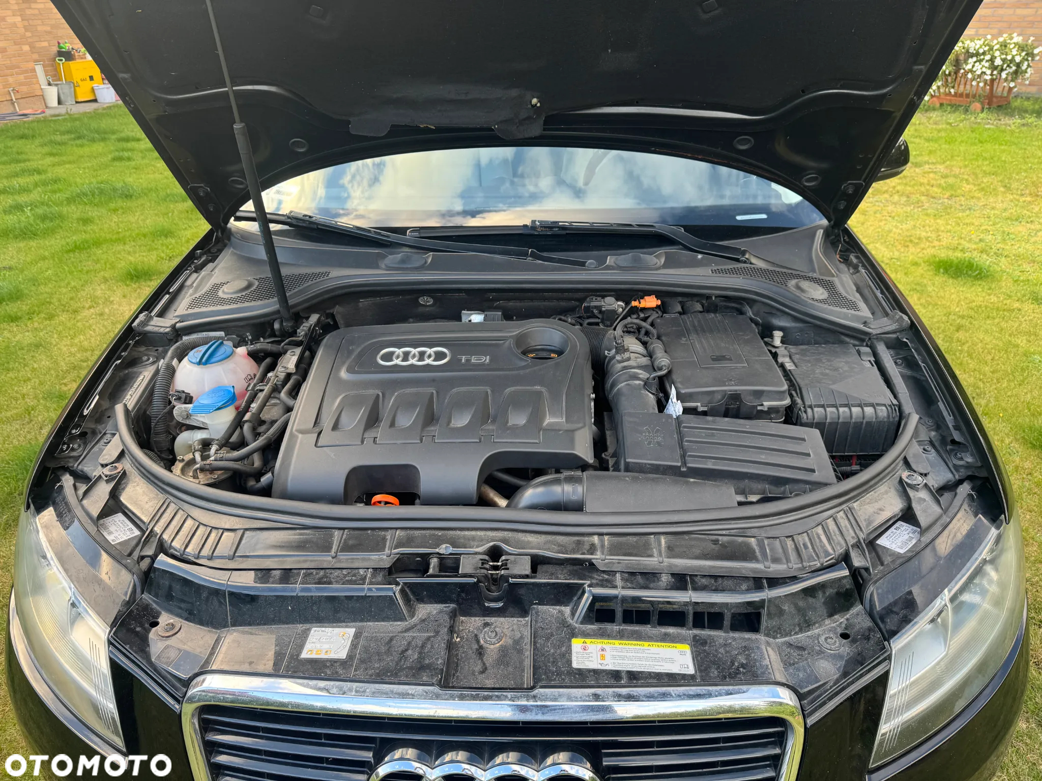 Audi A3 Sportback 2.0 TDI DPF Ambiente - 12