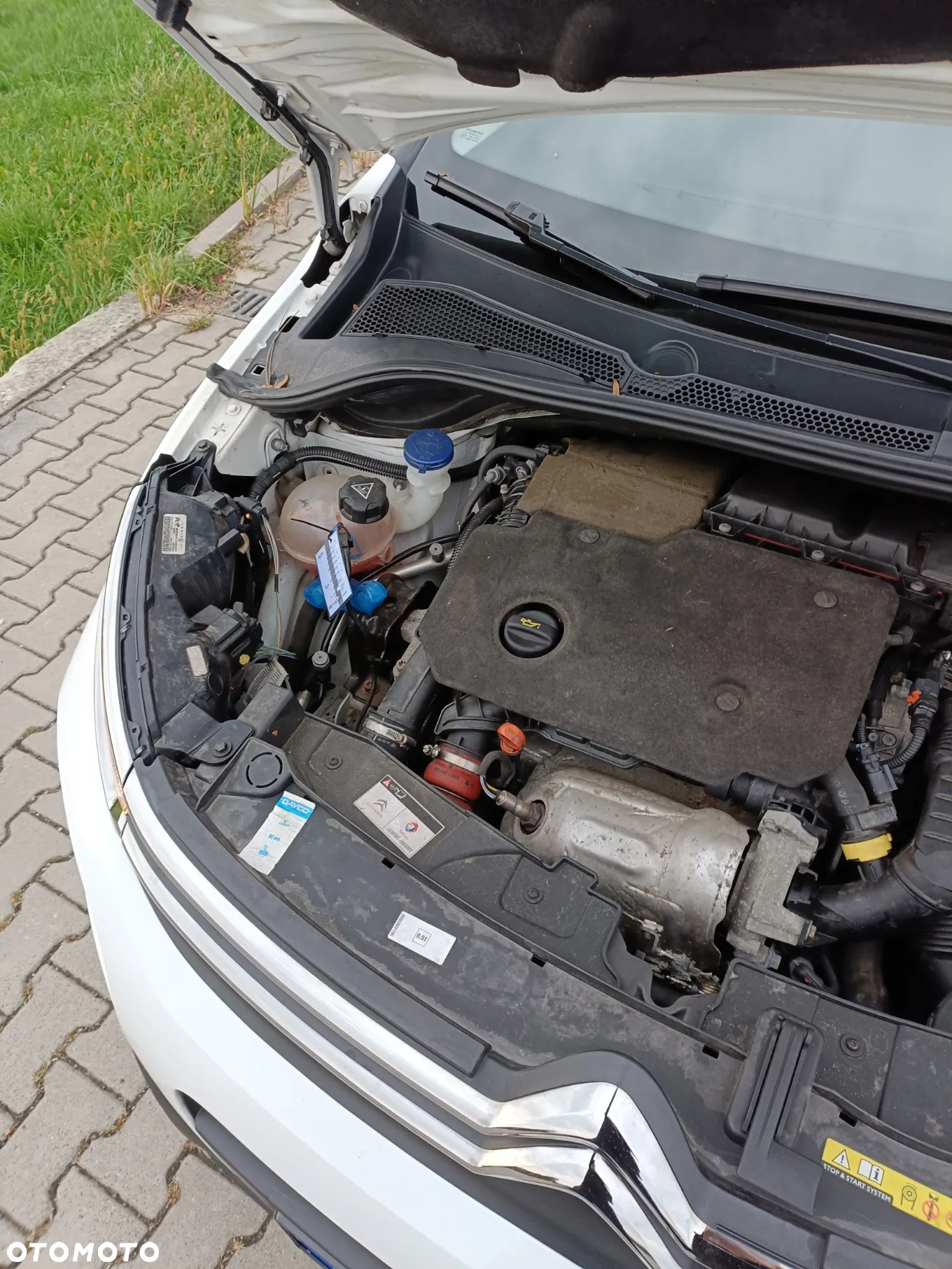 Citroën C3 1.5 BlueHDi Feel S&S - 8