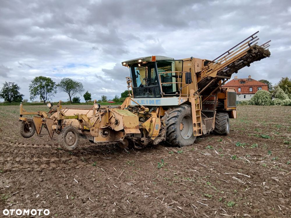 Holmer KLEINE SF10 2 - 1