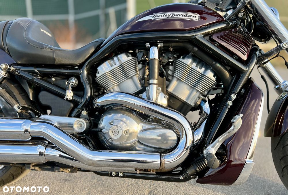 Harley-Davidson V-Rod Street Rod - 4
