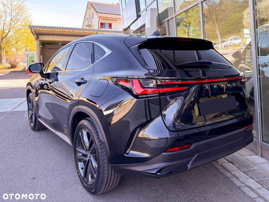 Lexus NX - 6