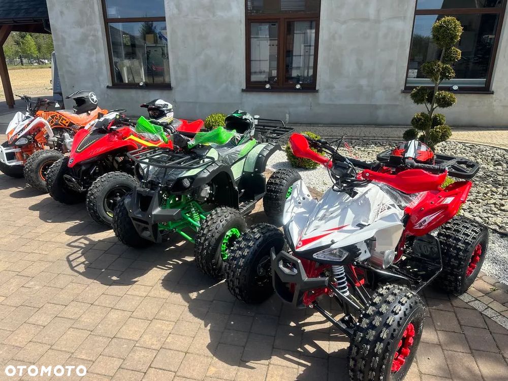 CFMoto CForce - 31