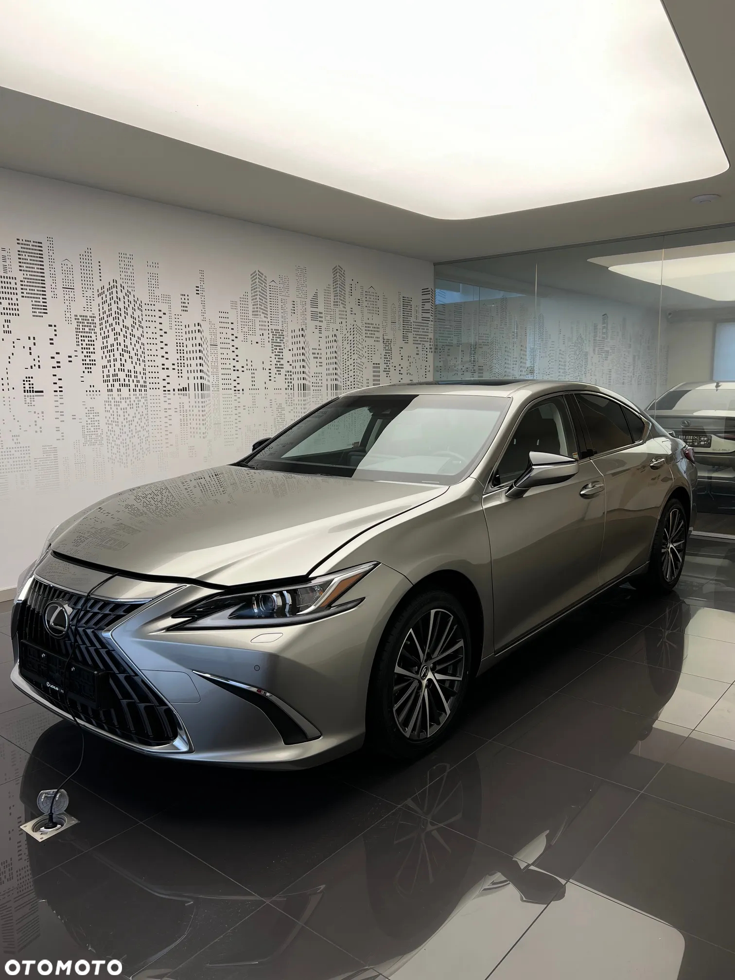 Lexus ES 300h Business Edition - 2