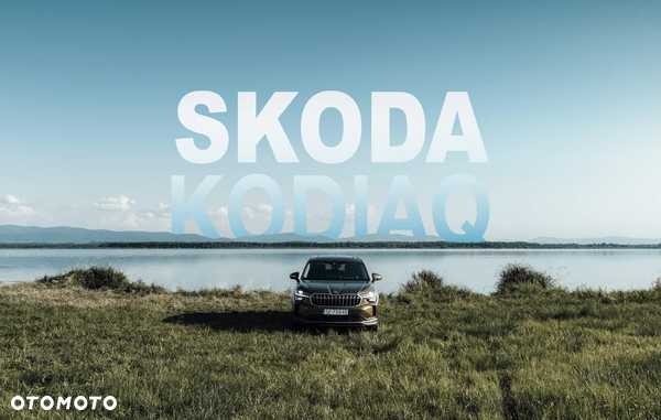 Skoda Kodiaq 2.0 TDI 4x4 Selection DSG