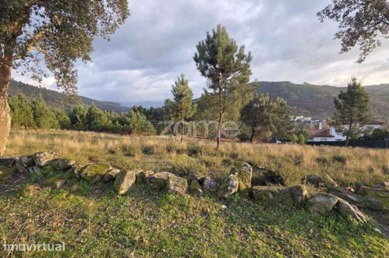 Dois Terrenos Rústicos com 2,6 Ha - Grande imagem: 3/3