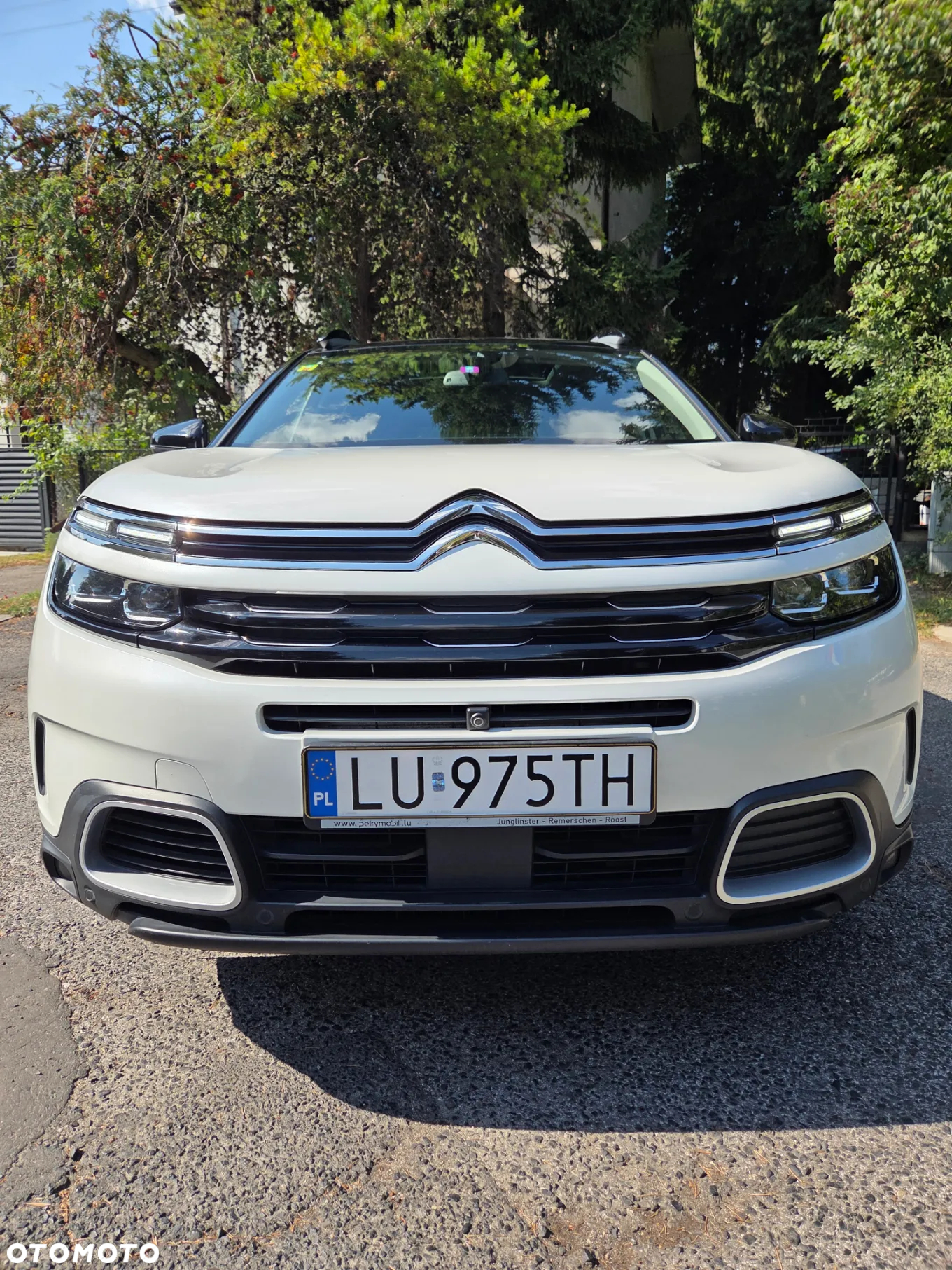 Citroën C5 Aircross BlueHDI 180 S&S EAT8 SHINE PACK - 5