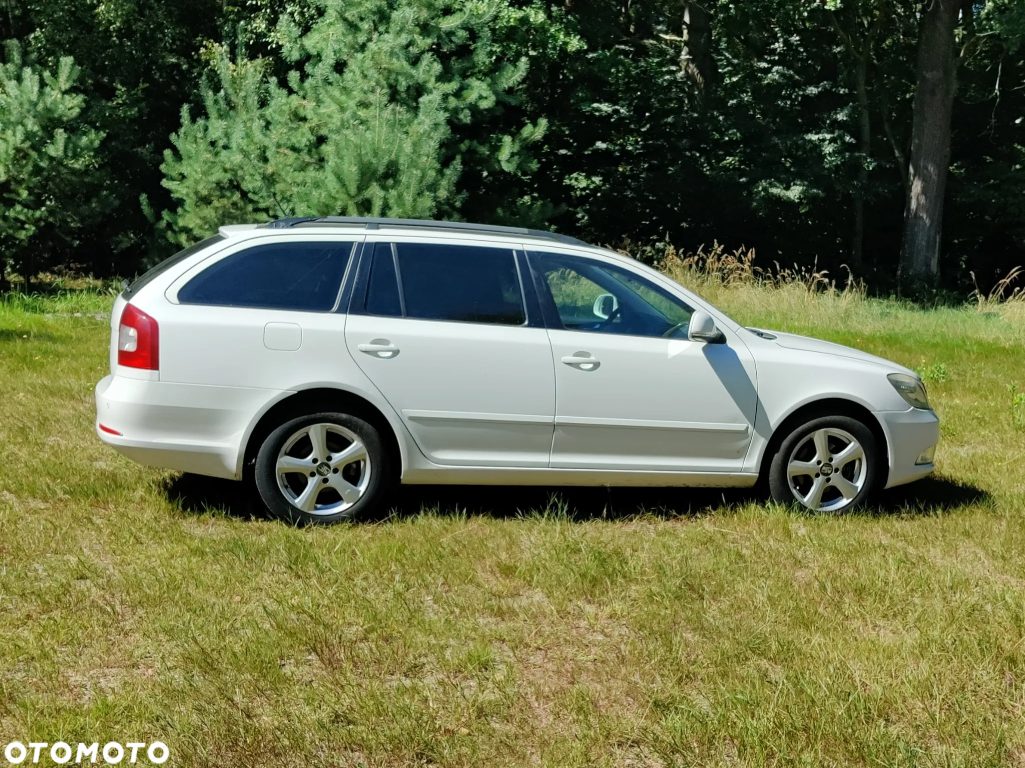 Skoda Octavia 1.9 TDI Elegance DSG - 9