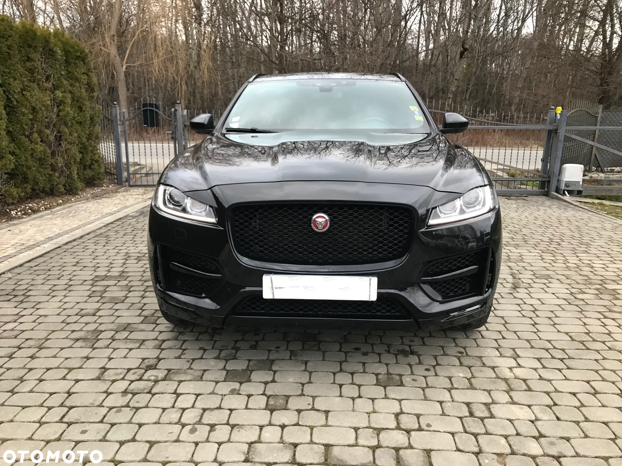 Jaguar F-Pace 3.0 TDV6 AWD R-Sport - 24