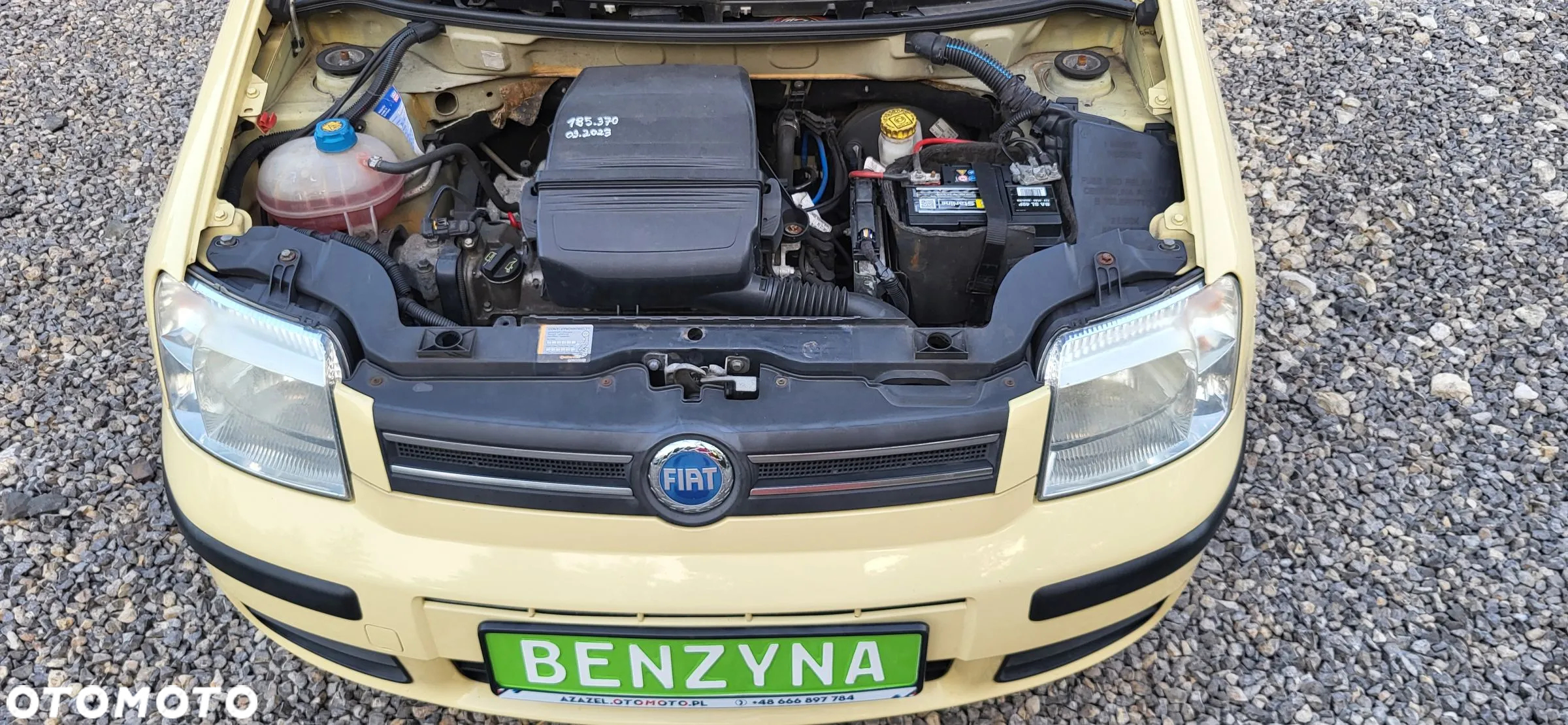 Fiat Panda 1.2 Dynamic Olympic - 22