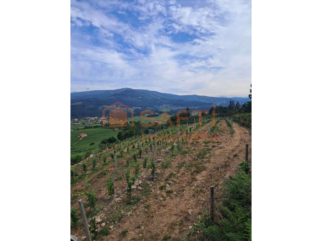 Terreno Rustico - Grande imagem: 3/11