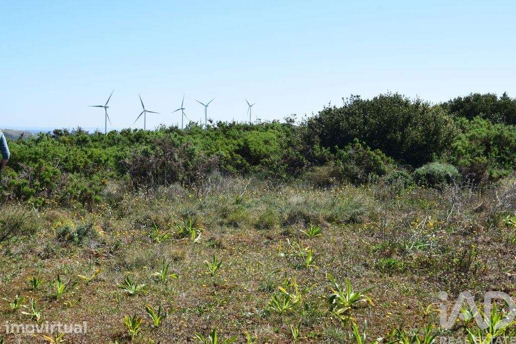 Terreno Agrícola em Carnota - Grande imagem: 3/34
