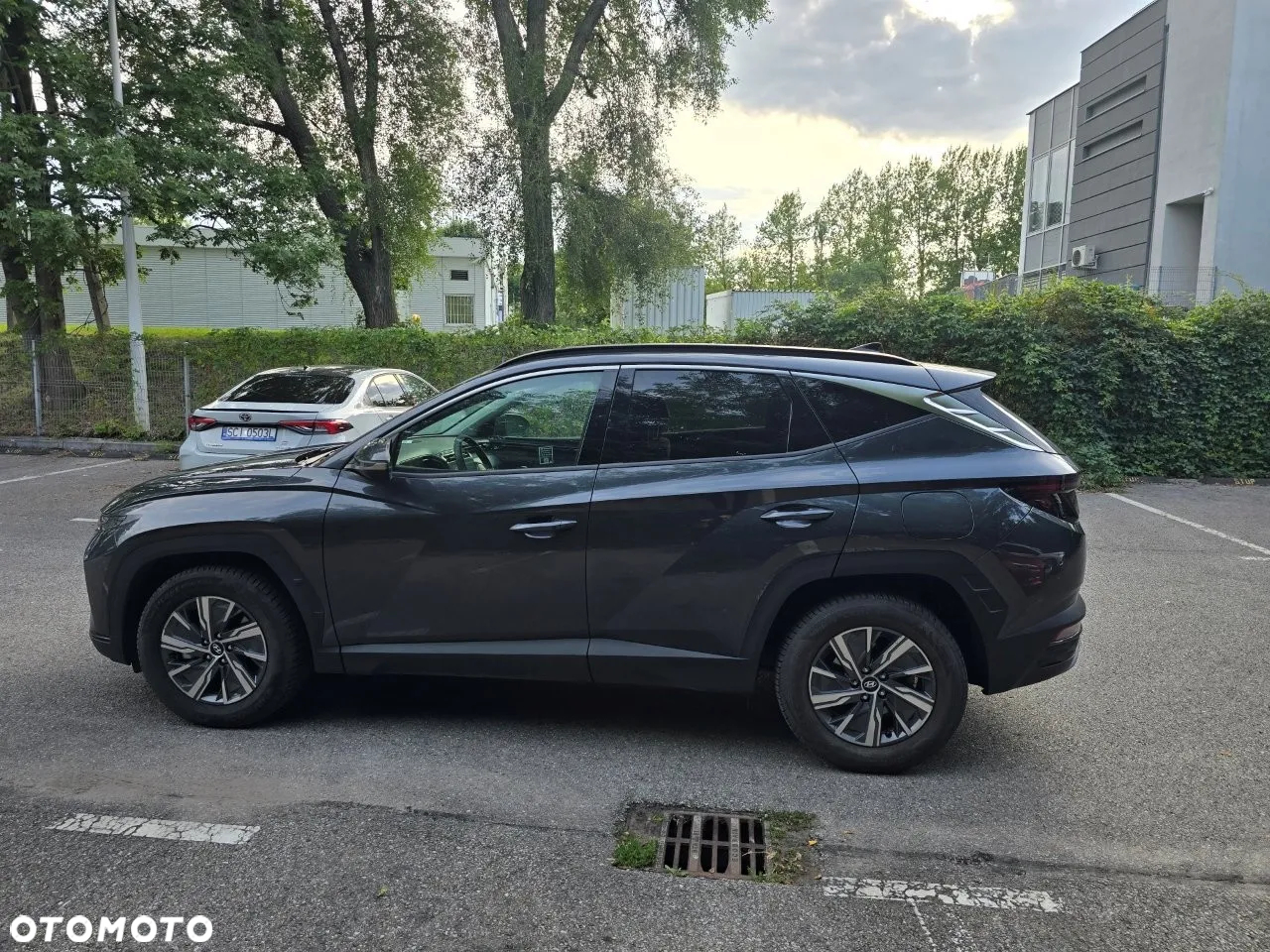 Hyundai Tucson 1.6 T-GDi HEV Executive Final Edition 2WD - 2