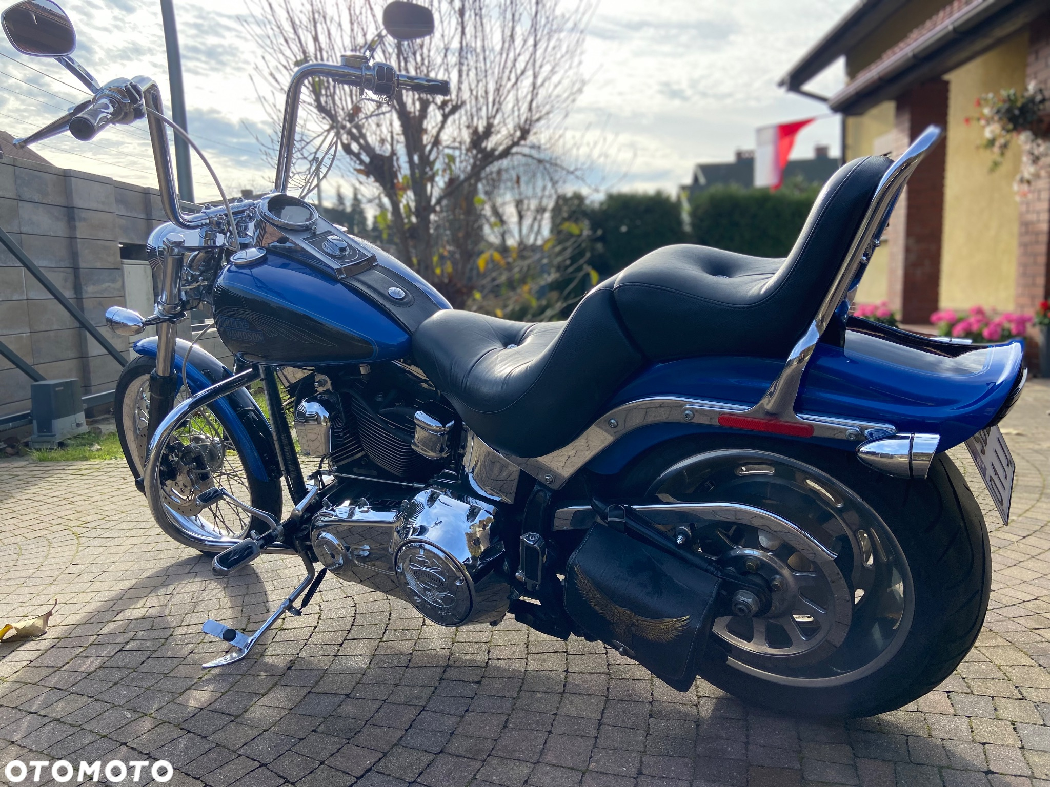 Harley-Davidson Softail Custom - 3