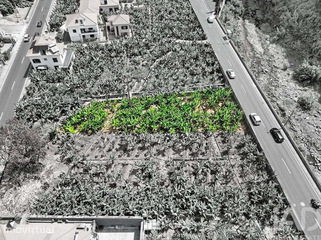 Terreno em Ribeira Brava - Grande imagem: 3/11