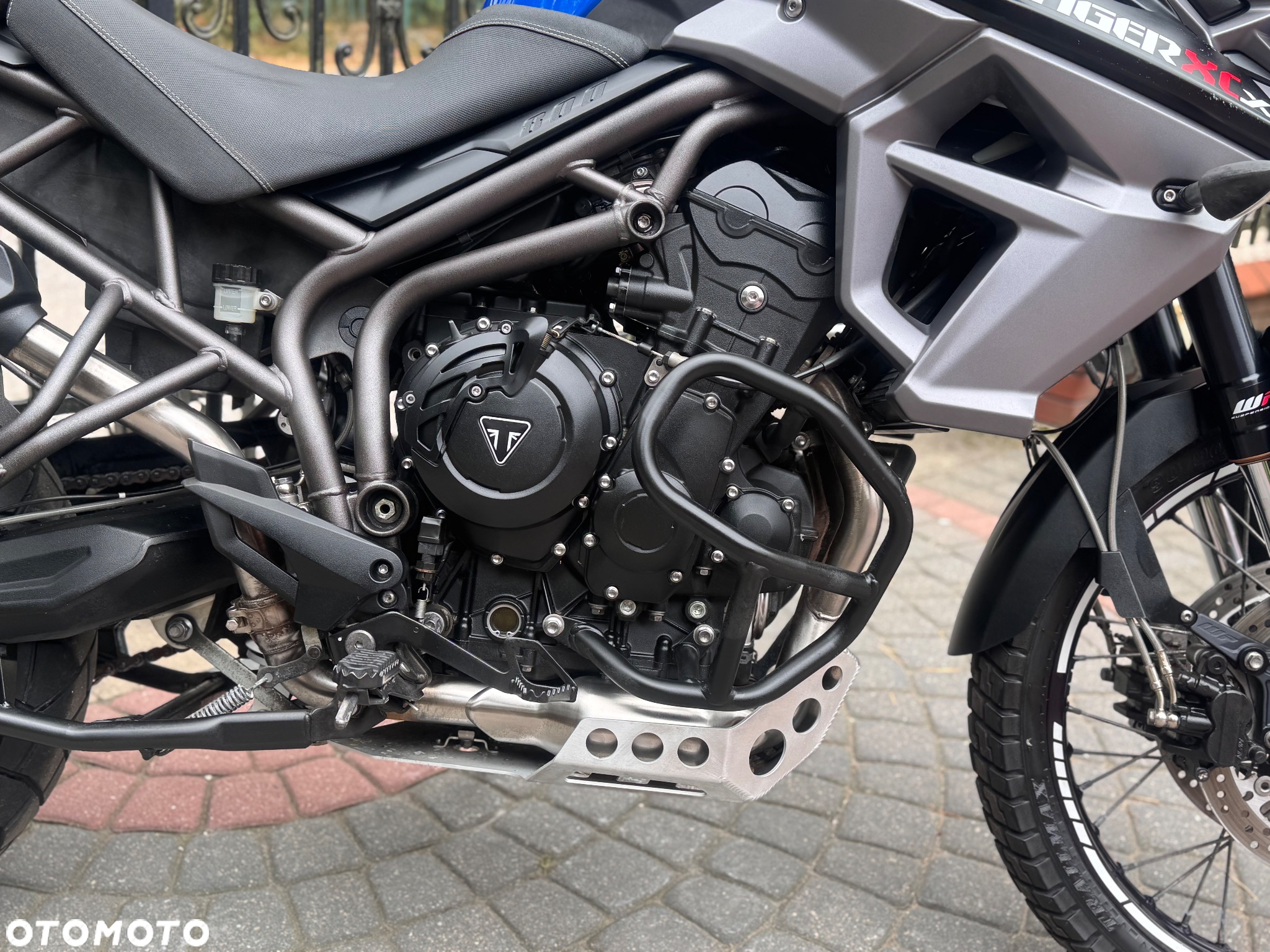 Triumph Tiger - 13