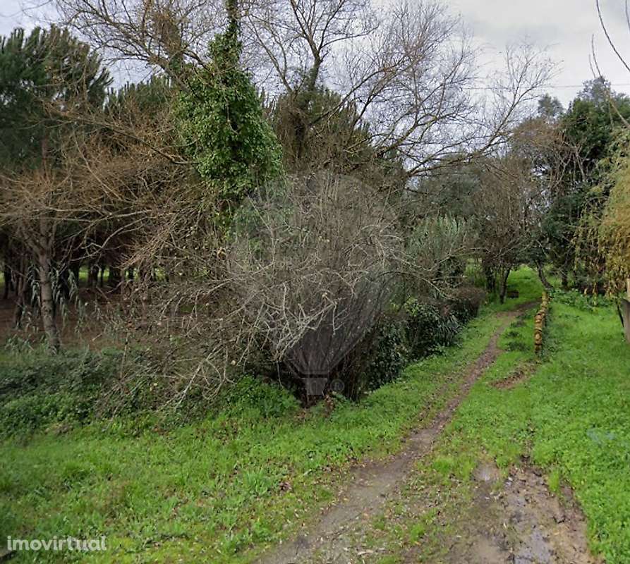 Terreno  para venda - Grande imagem: 2/3