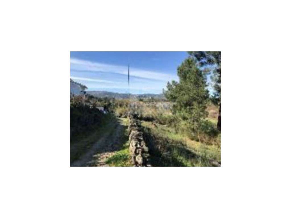 TERRENO RUSTICO, EM CARVALHAL - CHAVES - Grande imagem: 3/6