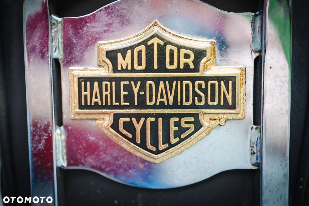 Harley-Davidson Sportster Custom 1200C - 13