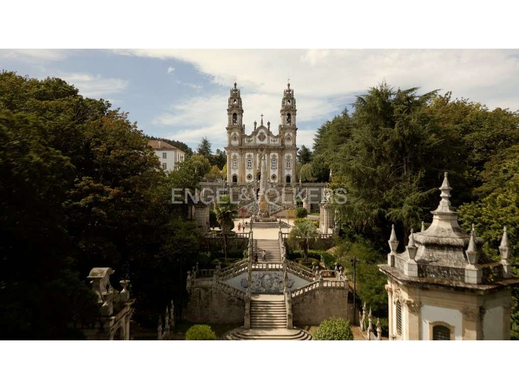 Propriedade com 35.000 m2 à venda na zona privilegiada de Lamego - Grande imagem: 4/21