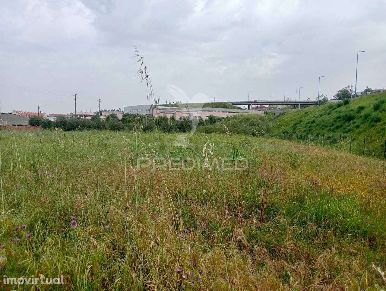 Terreno Rústico, Azoia - Leiria - Grande imagem: 4/8