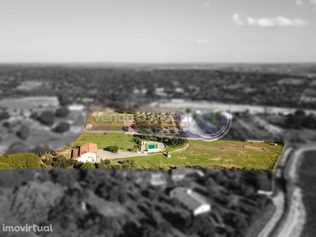 Quinta com moradia T3, armazém e piscina em cabeção (MOR061) - Grande imagem: 4/30