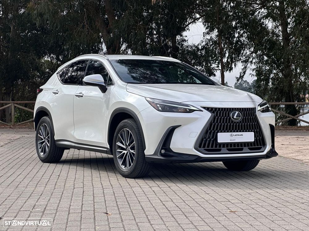 Lexus NX 450h+ Executive - 10