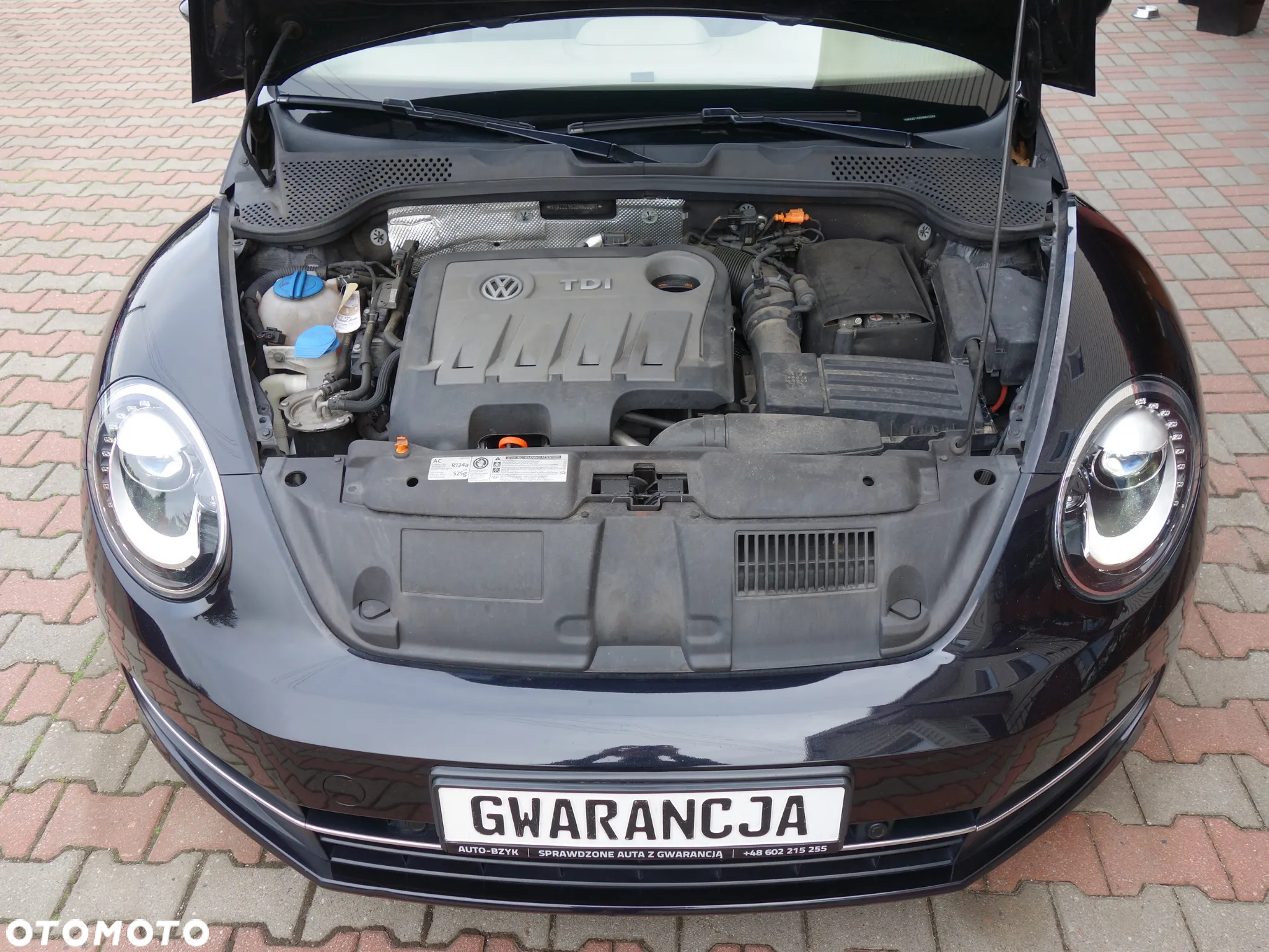 Volkswagen New Beetle - 16