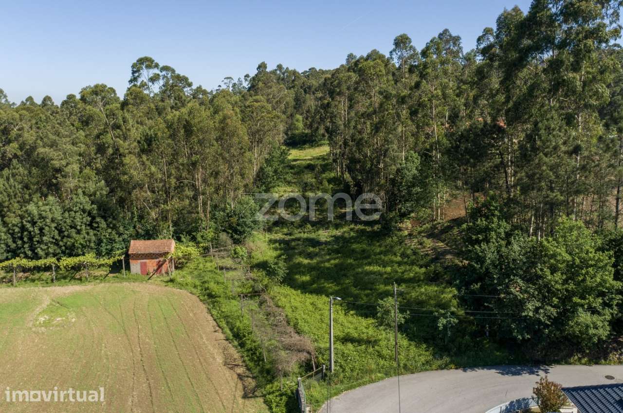 Terreno urbanizável em Caldas de São Jorge - Santa Maria da Feira - Grande imagem: 5/19
