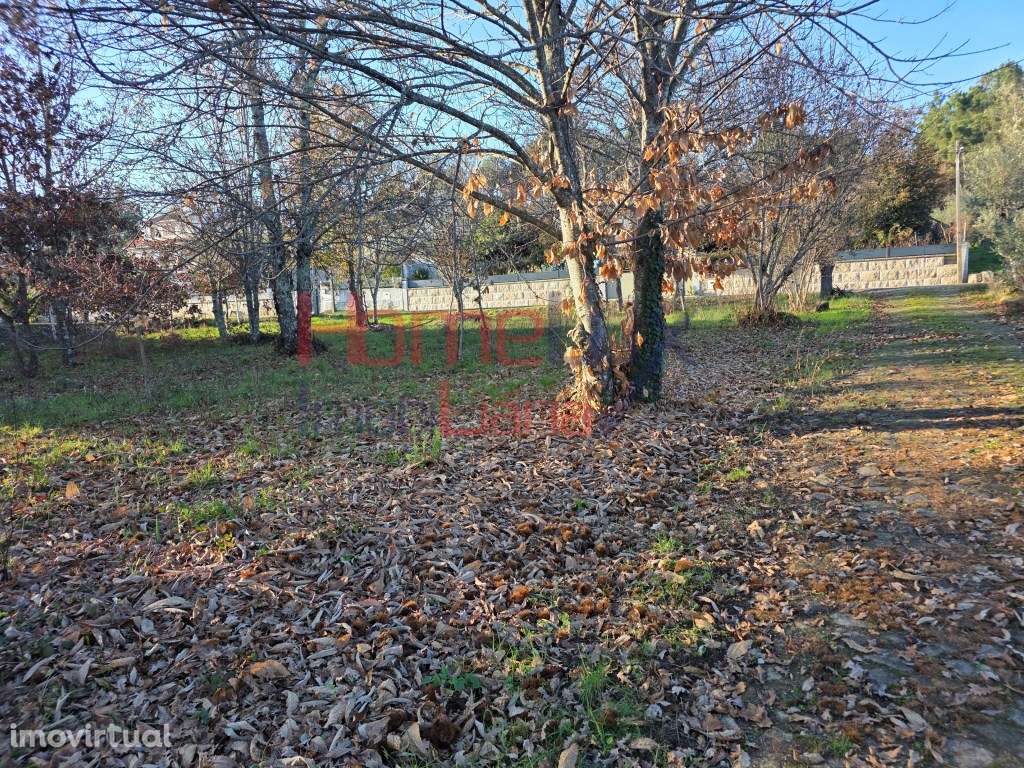 Terreno para venda em Vila Nova de Barreiros - Grande imagem: 3/16