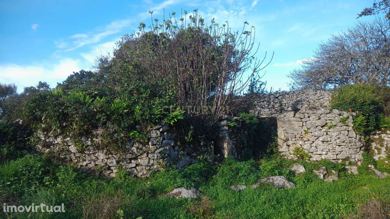 Terreno Urbano com Ruinas - Grande imagem: 5/5