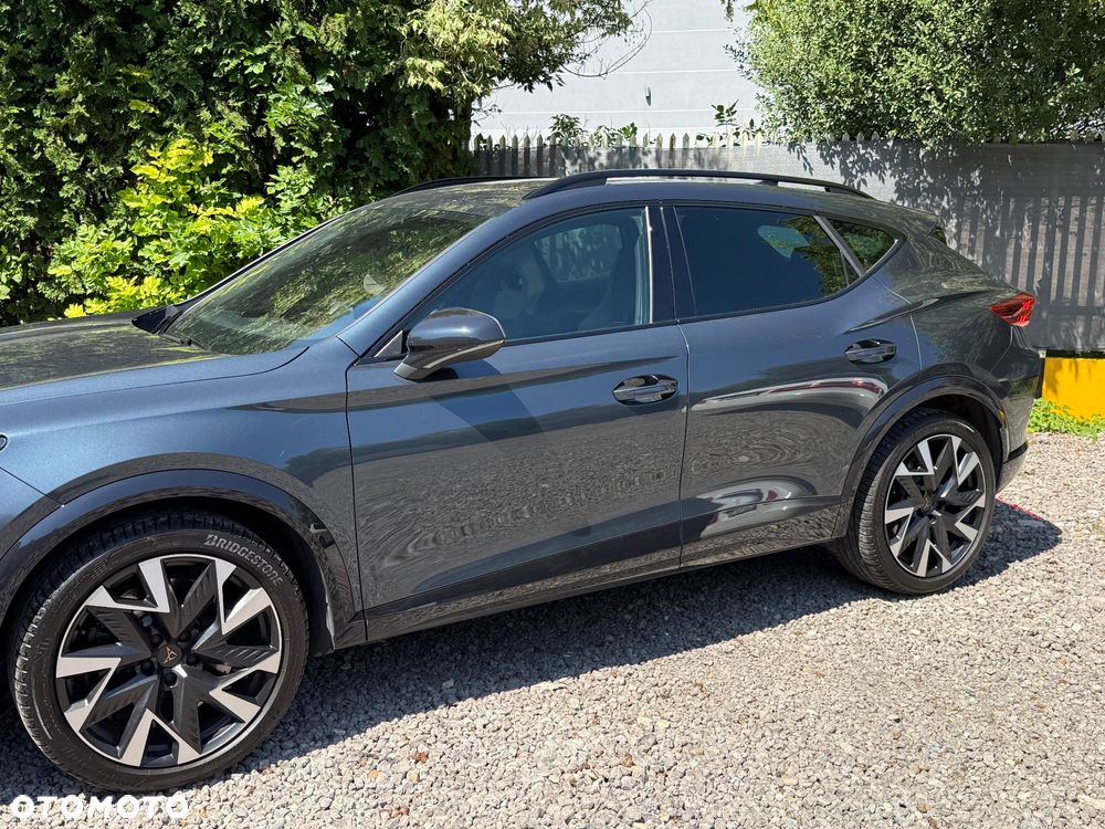 Cupra Formentor 2.0 TSI 4Drive Tribe Edition VZ DSG - 14