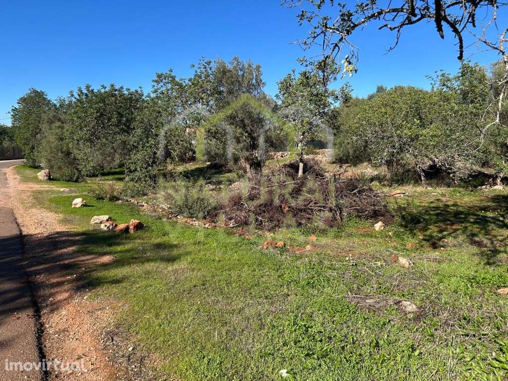 Terreno Rústico de Vistas Panorâmicas - Alte - Grande imagem: 4/5