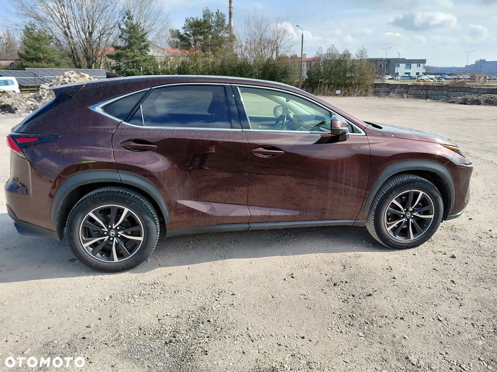 Lexus NX 300 Business Edition AWD - 7