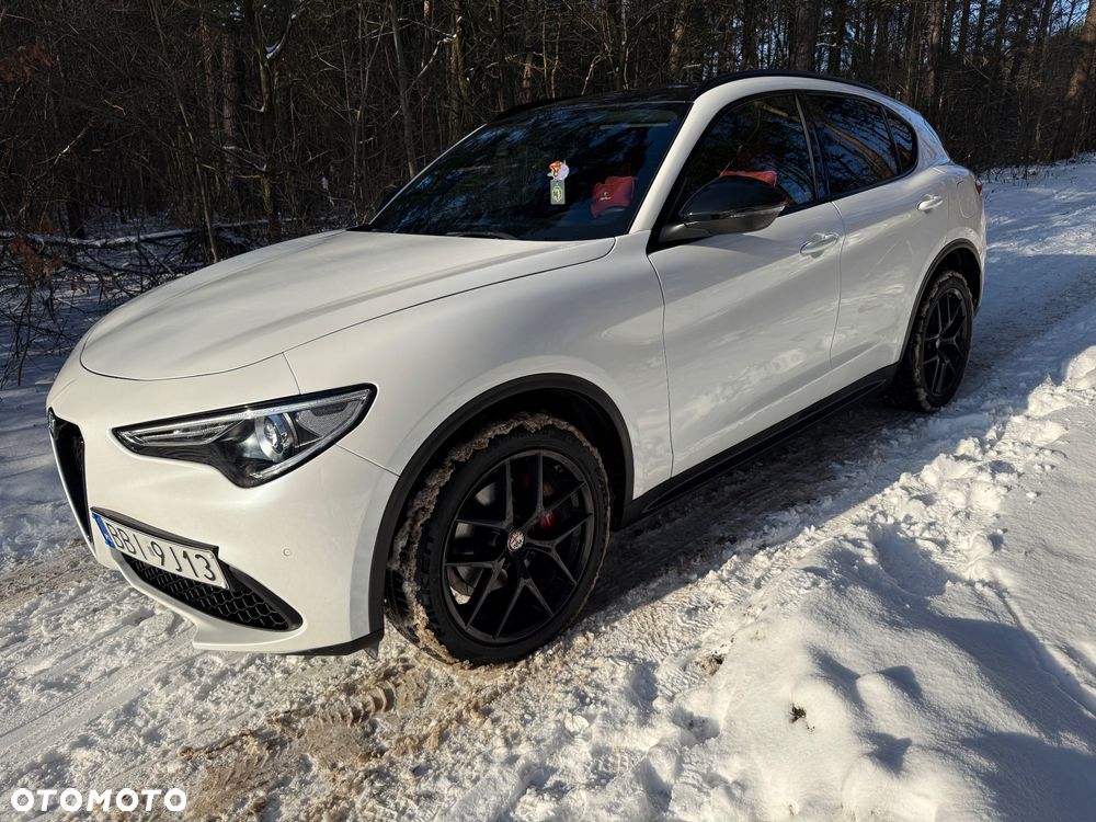 Alfa Romeo Stelvio 2.0 Turbo 16V AT8-Q4 Ti - 13