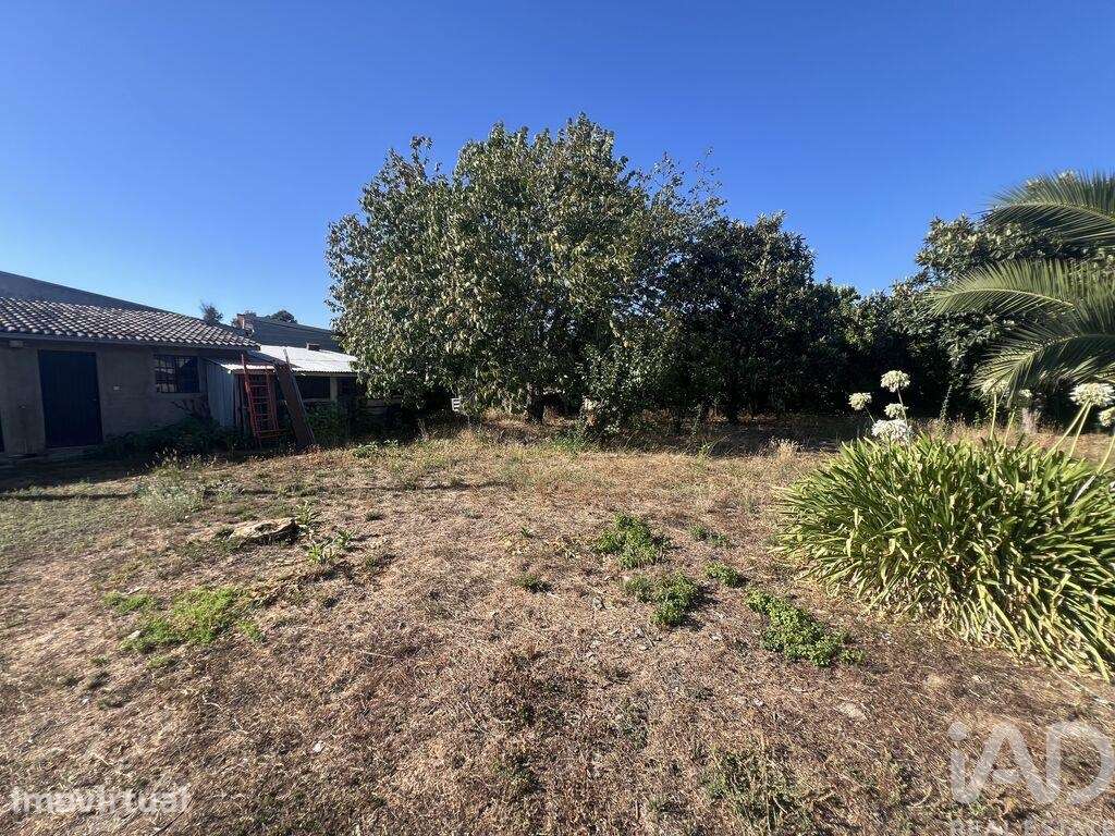 Casa / Villa T4 em Tonda de 280 m2 - Grande imagem: 5/25