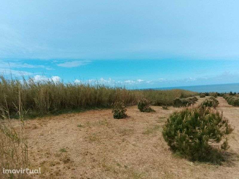 Terreno rústico na Serra do Bouro - Grande imagem: 3/12