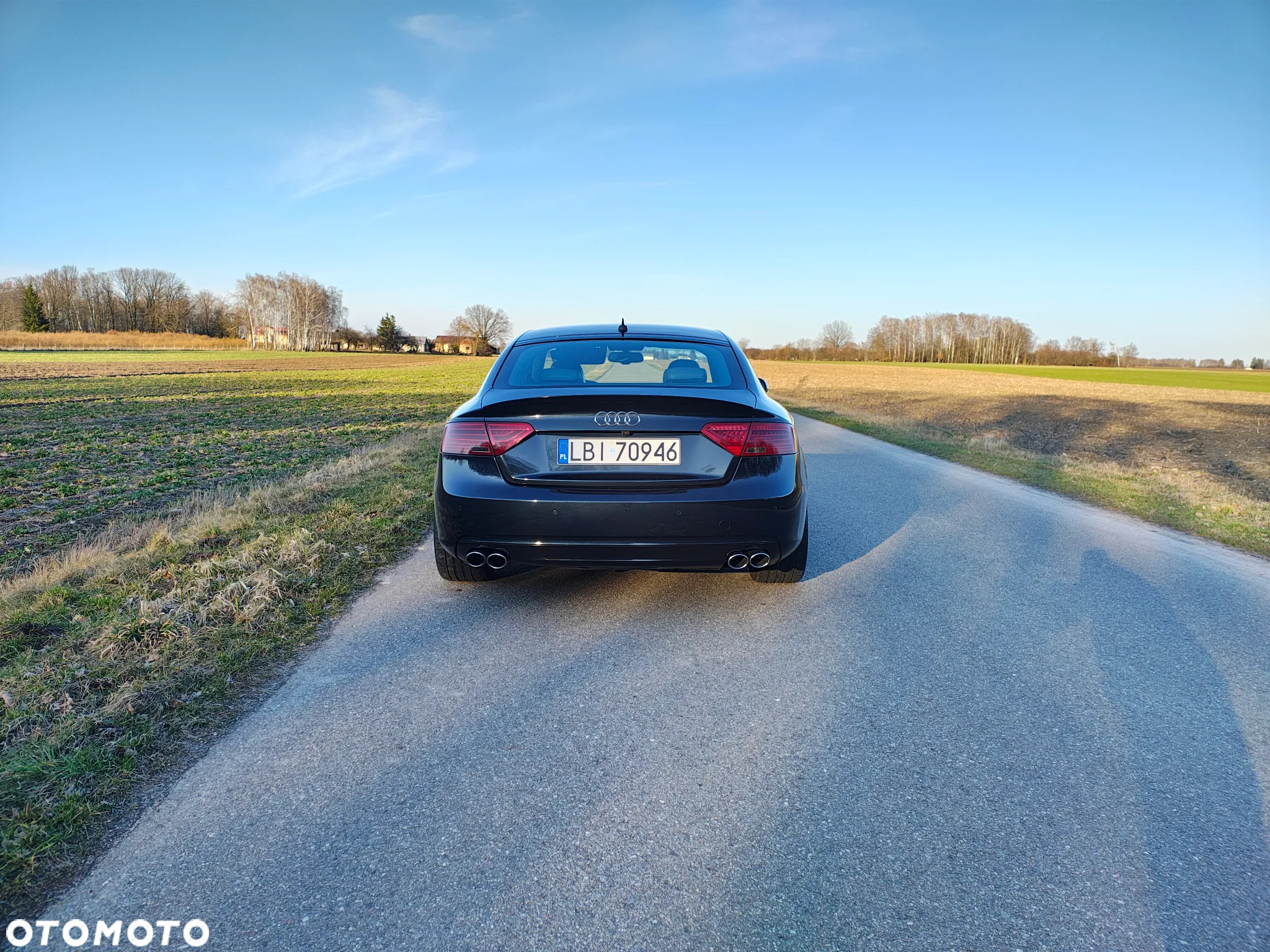 Audi A5 - 8