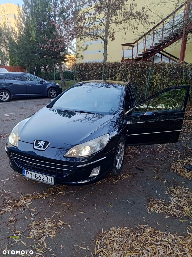 Peugeot 407 2.0 HDI Premium - 15