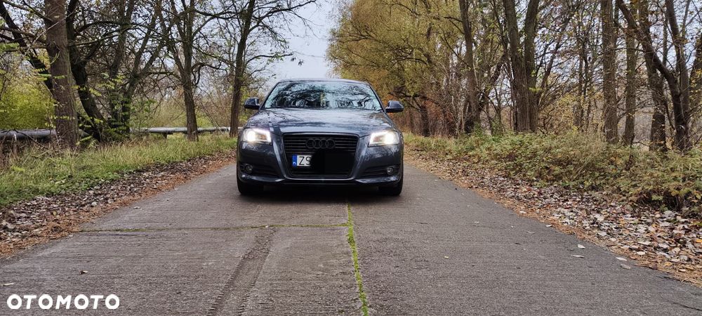 Audi A3 3-drzwiowe - 7