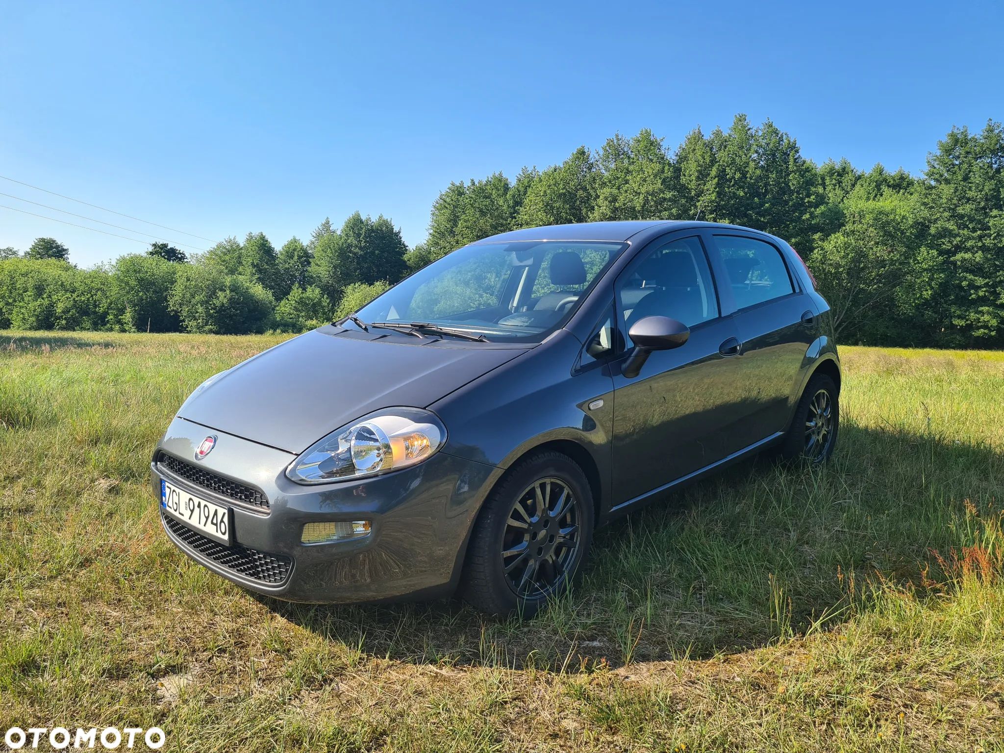 Fiat Punto - 1