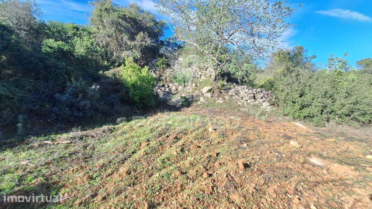 Terreno rustico em Loulé com acesso directo da estrada - Grande imagem: 5/10
